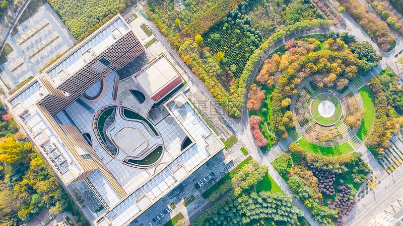 芯片价格波动背后的秘密：实时查询的必要性